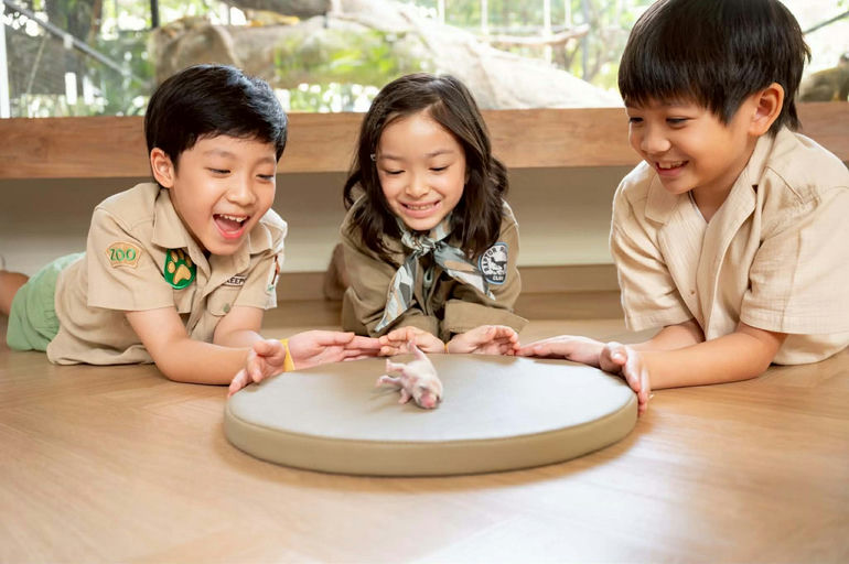 The Zookeeper Thailand ดอนเมือง