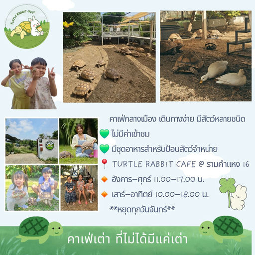Turtle rabbit cafe บางกะปิ